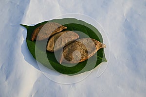 Millettia pinnata seed.