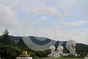 Millimeter array of Nobeyama radio observatory