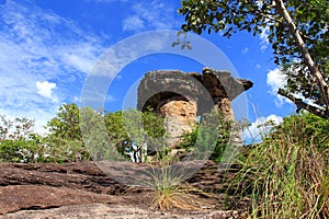 The million years mushroom stone pillar