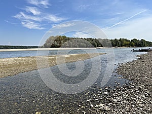 Millions of dead river shells on the banks of the Danube near Vukovar during the historic summer drought, Vukovar - Croatia