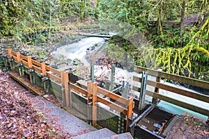 Millrace in old grist mill,Washington,usa. photo