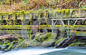 Millrace in old grist mill,Washington,usa. photo