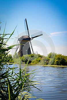 Mills by the River in Kinderdijk