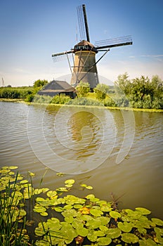 Mills by the River in Kinderdijk