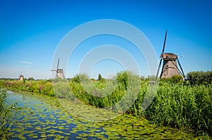 Mills by the River in Kinderdijk