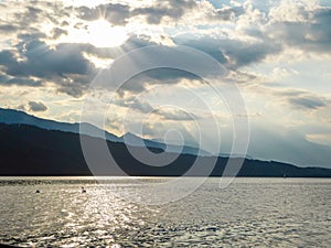 Millstaettersee - A pair of swans landing on Millstaetter lake in Austria during the sunset. The lake is surrounded by high Alps