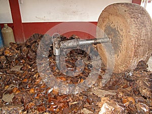 Millstone at Mezcal production, Oaxaca, Mexico