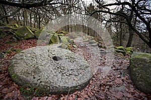 Millstone in woods