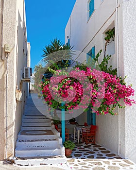 Milos island, Greece, tranquil house yard