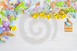 Milticolor bird feathers and Easter decoration. Easter concept. Top view, close up, flat lay on white wooden background