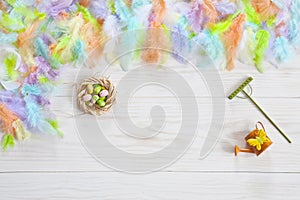 Milticolor bird feathers and Easter eggs. Easter concept. Top view, close up, flat lay on white wooden background