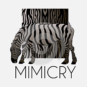 Mimicry. Vector hand drawn illustration of zebra with animalistic background isolated.