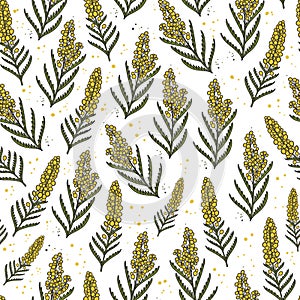 Mimosa acacia hand drawn doodle style seamless pattern. Floral background for wedding spring decoration, wallpaper, wrapping paper