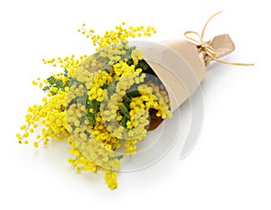 Mimosa bouquet