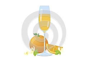 Mimosa drink with orange fruit icon vector