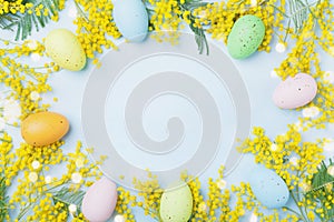 Mimosa flower and colorful eggs on blue table top view. Spring card for Easter.