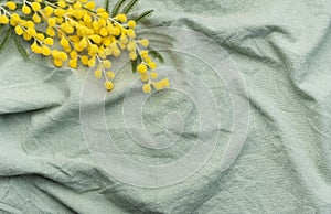 Mimosa flowers on green textile background