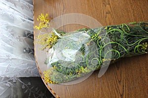 Mimosa flowers wrapped in transparent cellophane