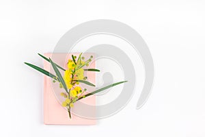 Mimosa and pink notepad on white background