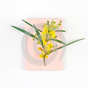 Mimosa and pink notepad on white background