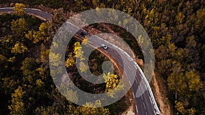 Mimosa trees landscape, drone aerial view, road and cars, Tanneron