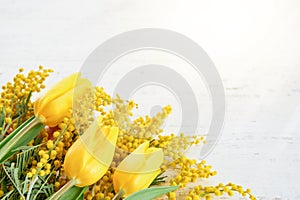 Mimosa and tulip spring flowers Easter or Passover seder white wooden background with sun rays and glare. greeting card