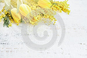 Mimosa and tulip spring flowers Easter or Passover seder white wooden background with sun rays and glare. greeting card for