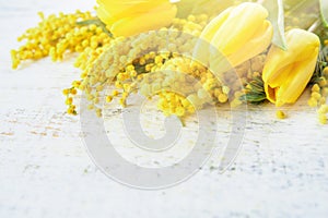 Mimosa and tulip spring flowers Easter or Passover seder white wooden background with sun rays and glare. greeting card for