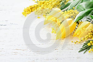 Mimosa and tulip spring flowers Easter or Passover seder white wooden background with sun rays and glare. greeting card