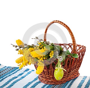 Mimosa, willow twigs and tulips in a basket