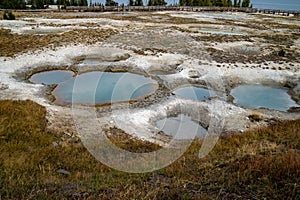 Mimulus Pool, a thermal feature in the West Thumb Geyser Basin of Yellowstone National Park