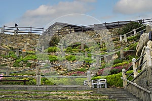 The Minack Theatre in Porthcurno, Cornwall, England is an outdoor theatre started in 1930 by Rowena Cade. photo