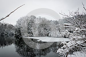 Minakuchi Higashi Frozen Pond Winter, Shiga, Japan