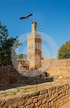 Minaret of Chellah necropolis. Rabat. Morocco.