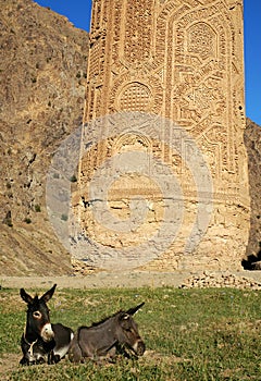 The Minaret of Jam, a UNESCO site in central Afghanistan. Showing base of the tower and two donkeys. photo