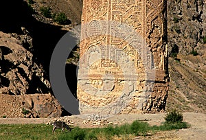 The Minaret of Jam, a UNESCO site in central Afghanistan. Showing base of the tower and a donkey. photo
