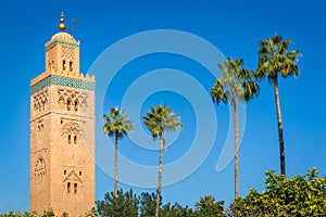 Historic minaret and palm trees