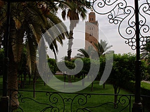 Minaret of the Koutoubia Mosque in Marrakech seen from a park. Morocco