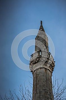 A minaret with tree branches in view