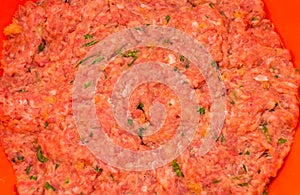 Minced beef with garlic close-up