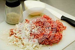 Minced beef meat with onion photo