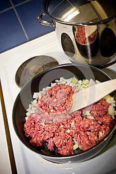 Minced meat photo