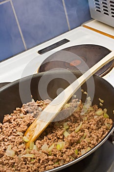 Minced meat photo