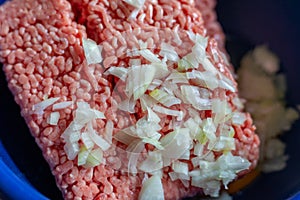 Minced meat in a bowl with raw egg, spices and chopped onion for cooking