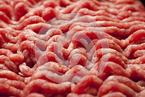 Minced Meat Close-Up