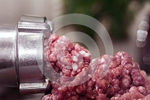 Minced meat grinder close-up