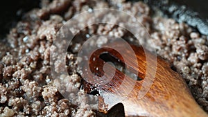 Minced meat in hot iron pan with wooden (bamboo) spoon, macro