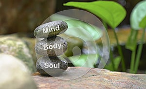 Mind Body Soul concept