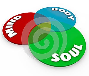Mind Body Soul Venn Diagram Total Wellness Balance
