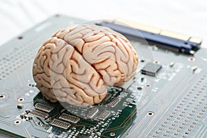 The Mind Meets Machine: The Future of Artificial Intelligence in the Human Brain